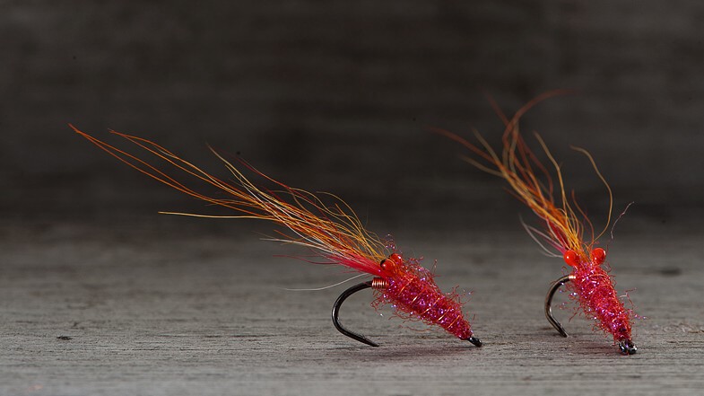 Midgar Beach Shrimp, Red Candy