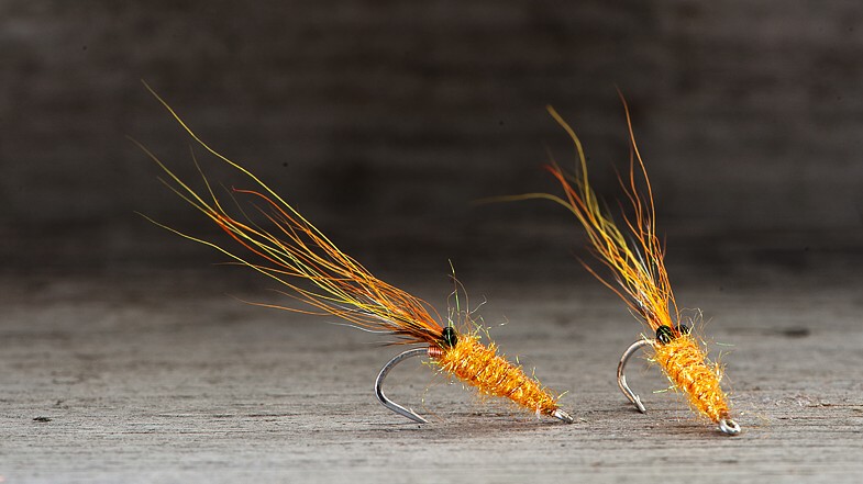 Midgar Beach Shrimp, Shrimp Orange