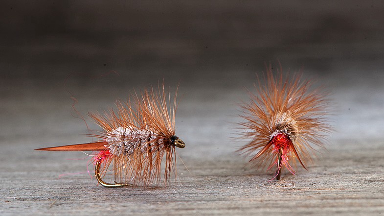 Midgar Bomber Bug, Natural Grey