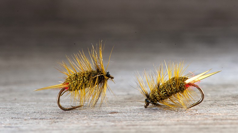 Midgar Bomber Bug, Olive