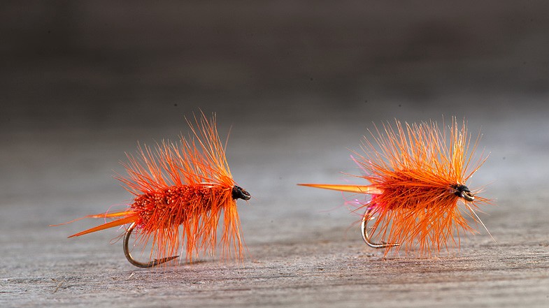 Midgar Bomber Bug, Orange