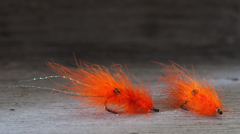 Midgar CDC Shrimp, Hot Orange