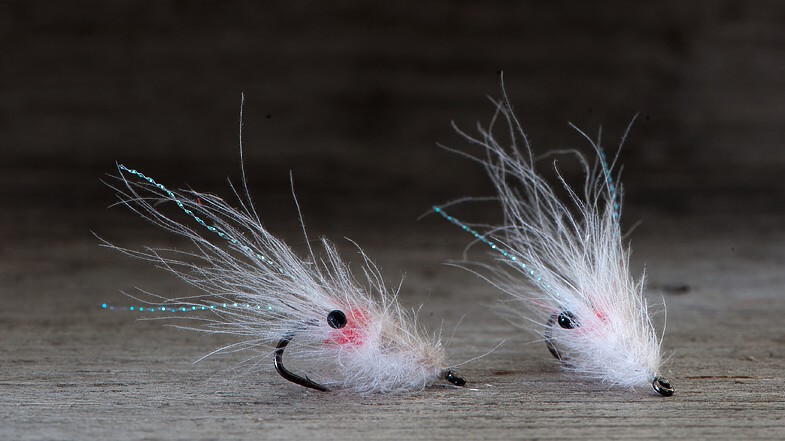 Midgar CDC Shrimp, Hot Spot White Midgar CDC Shrimp, Hot Spot White