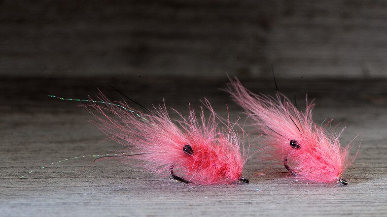 Midgar CDC Shrimp, Light Pink
