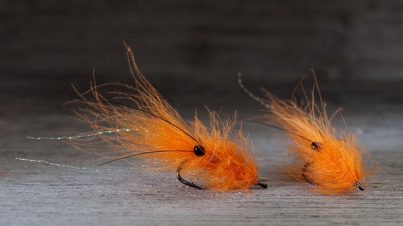 Midgar CDC Shrimp, Orange