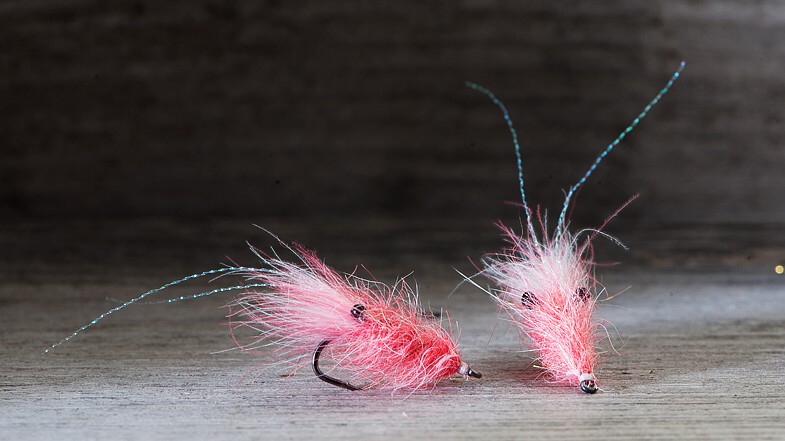 Midgar CDX Shrimp Micro, Candy Crush