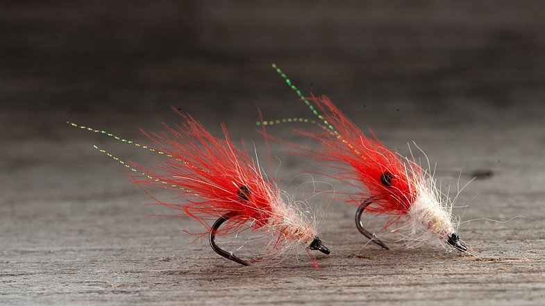 Midgar CDX Shrimp Micro, Hot Lip & White