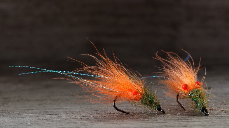 Midgar CDX Shrimp Micro, Orange Lip & Olive