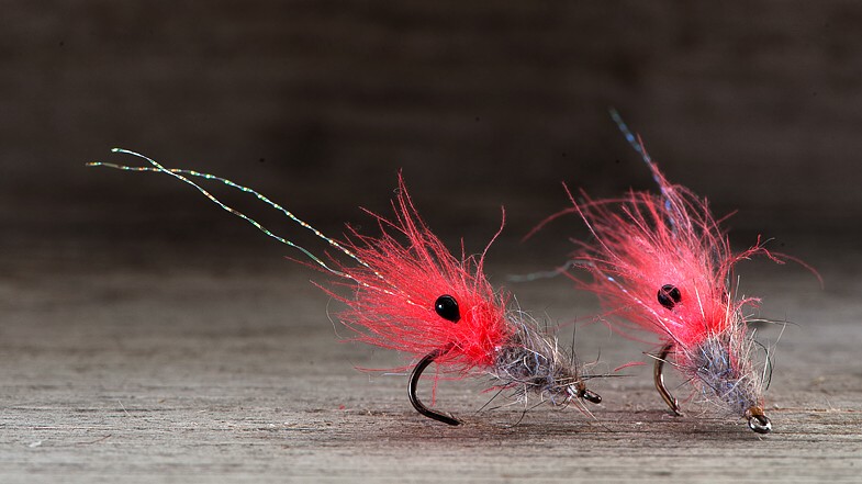 Midgar CDX Shrimp Micro, Pink Lip & Grey