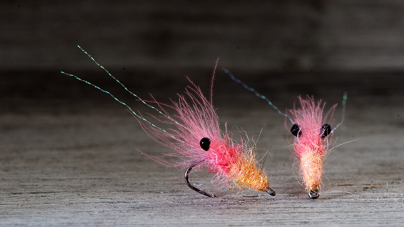 Midgar CDX Shrimp Micro, Pink Lip & Salmon