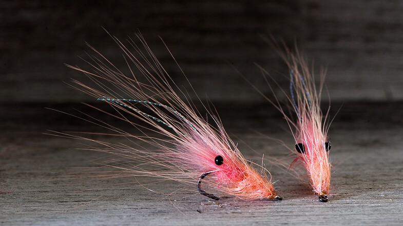 Midgar CDX Shrimp, Pink Lip & Salmon