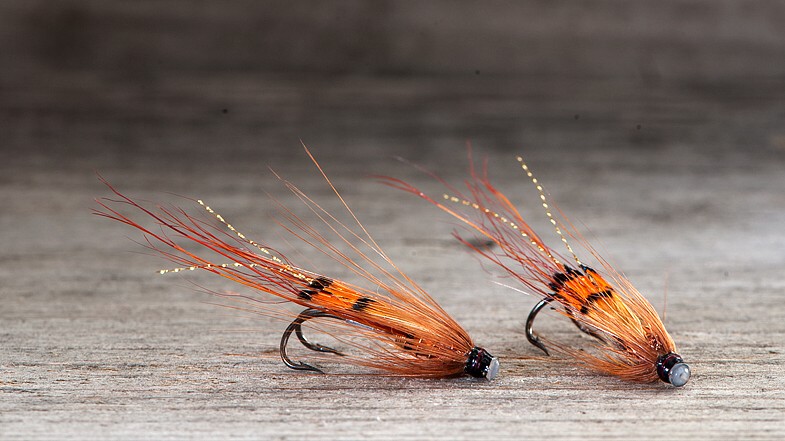 Midgar Copper Shrimp, uten Cone