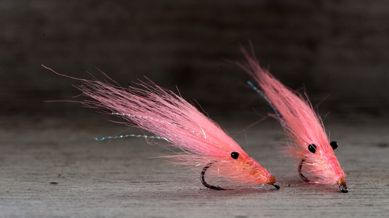 Midgar Fattiggris, Fluo Shell Pink