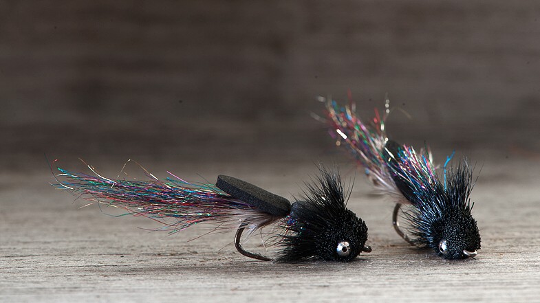 Midgar Flashtail Minnow, Black Rainbow