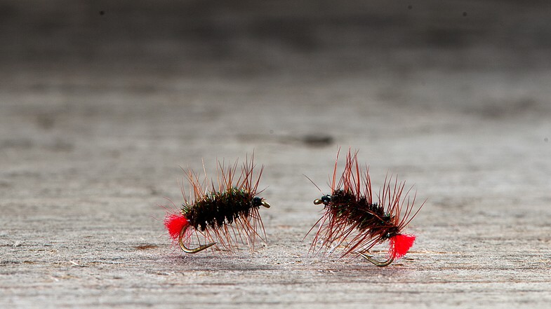 Midgar Midge, Griffith`s Gnat, Red Tag