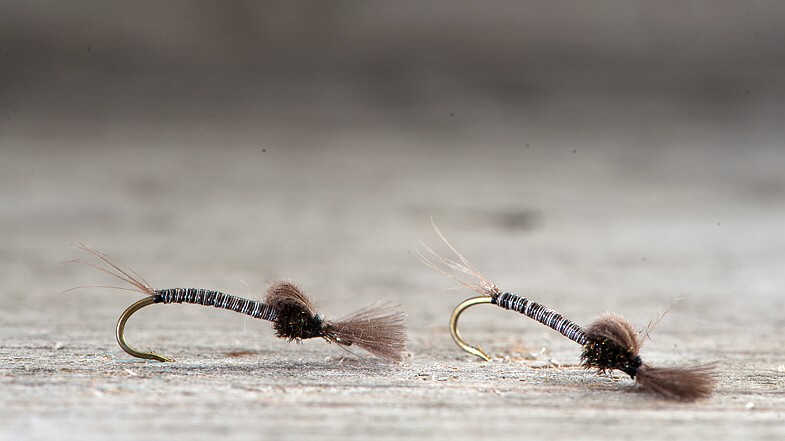 Midgar Midge, CDC Emerging Pupae, Stillwater