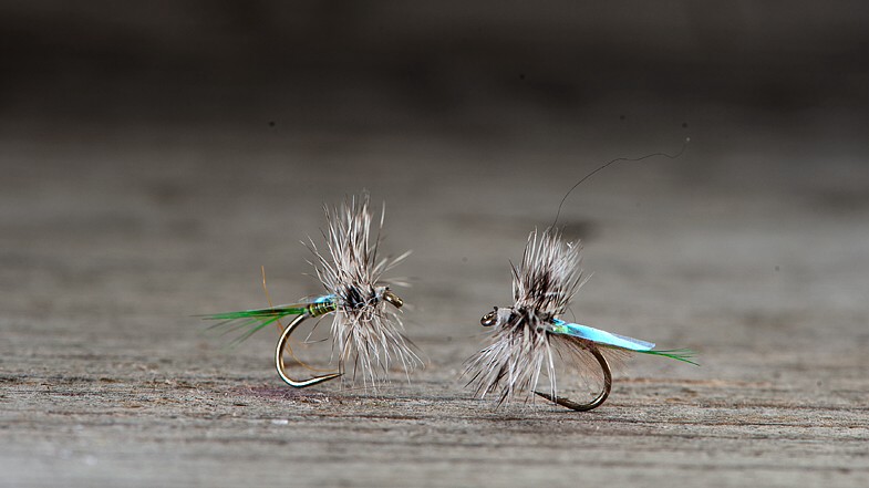 Midgar Midge, Flash Wing, Insect Green