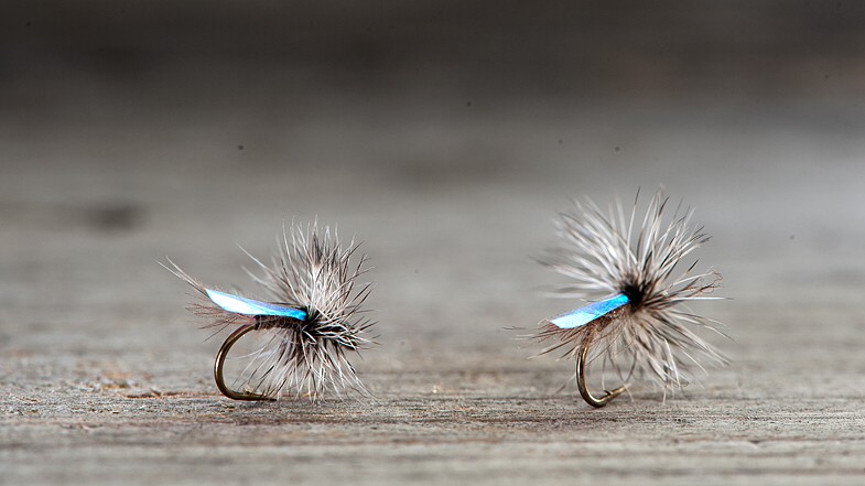 Midgar Midge, Flash Wing, Natural Grey