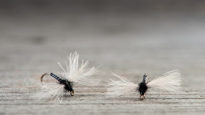 Midgar Midge, CDC Spent Wing, Speckled Grey