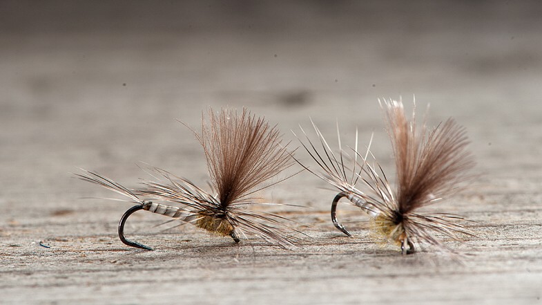 14 - bwo grey olive 