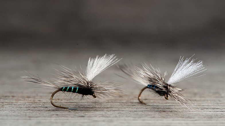 Midgar Parachute Duns TTX, Black Gnats Midgar Parachute Duns TTX, Black Gnats