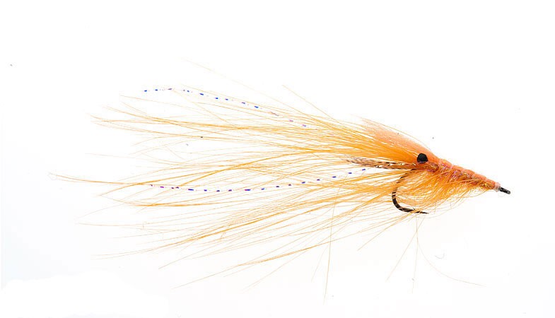 4 - shrimp orange
