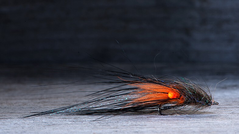 Midgar CDX Shrimp, Orange Lip & Olive