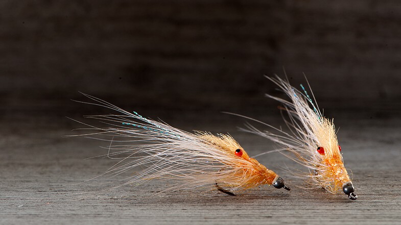 Midgar Pattegris Micro, Shrimp Orange