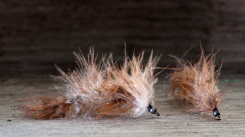 Midgar Rag Worms, Ginger Midgar Rag Worms, Ginger