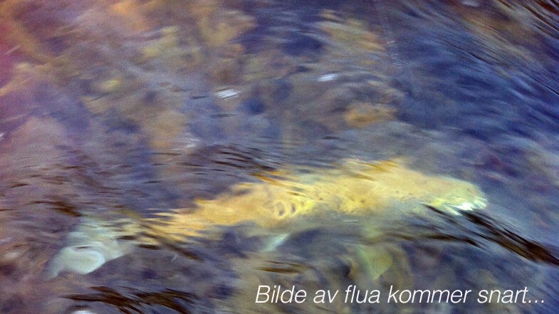 Tubefluekroker og tilbehør