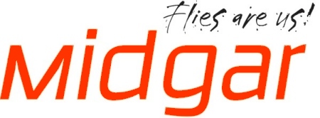 logo Midgar